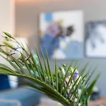Spaces Seaside Flat- 4 Bedroom, 2 Bathroom, Terrace, Near *